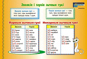 Звонкія і глухія зычныя гукі. Цвёрдыя і мяккія зычныя гукі 