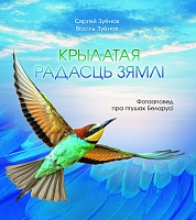 Крылатая радасць зямлі: фотааповед пра птушак Беларусі
